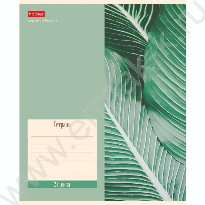 Тетрадь  24л клетка "Nature" 5видов | Фото 5