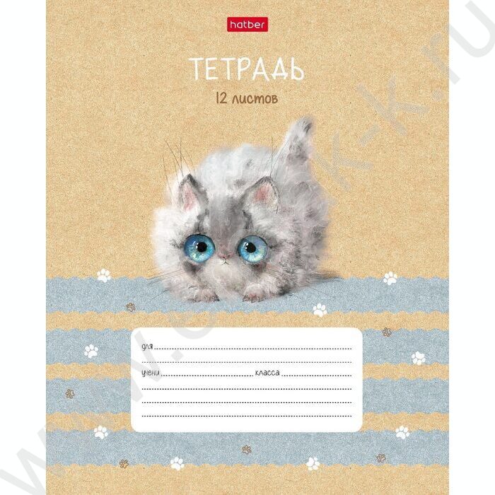 Тетрадь  12л линейка косая с доп.горизонтальной "Кошарики" 5видов | Фото 1