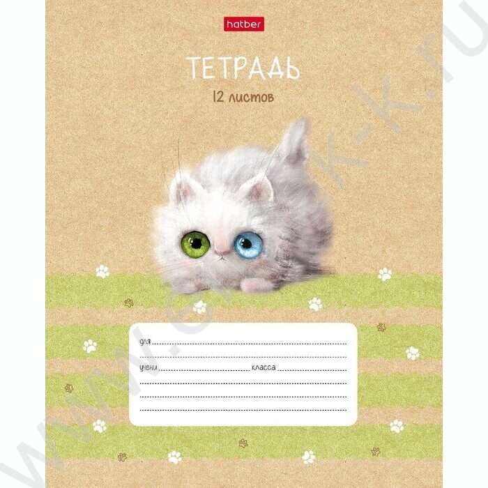 Тетрадь  12л линейка косая с доп.горизонтальной "Кошарики" 5видов | Фото 2