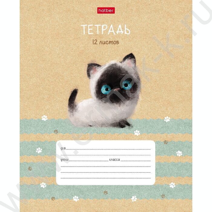 Тетрадь  12л линейка косая с доп.горизонтальной "Кошарики" 5видов | Фото 3