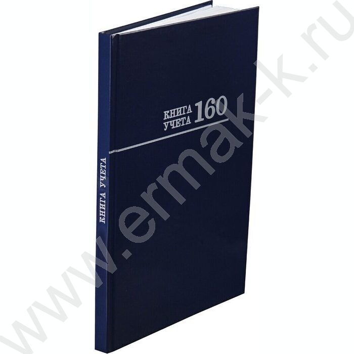 Книга Учёта 160л клетка тв.обл. офсет синяя | Фото 2