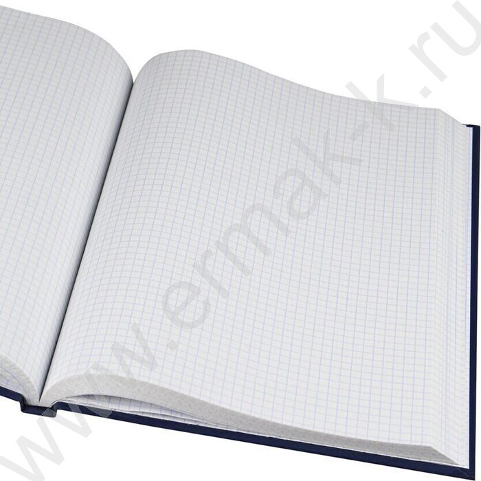 Книга Учёта 160л клетка тв.обл. офсет синяя | Фото 3