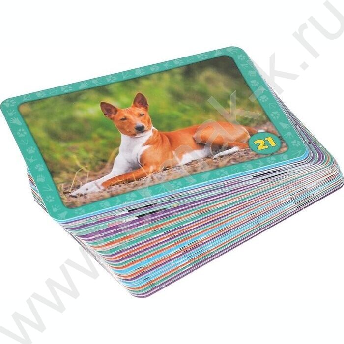 Мемо Домашние животные.Тренируем память | Фото 4