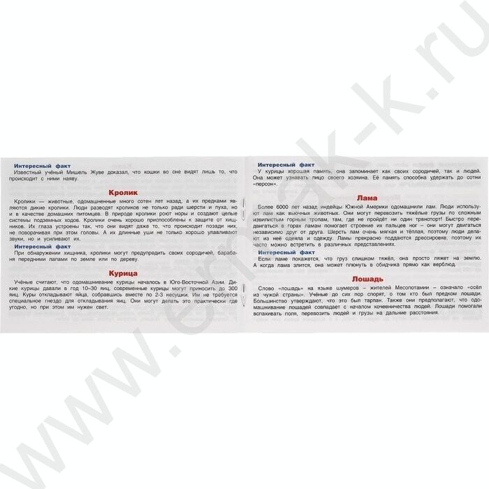 Мемо Домашние животные.Тренируем память | Фото 8