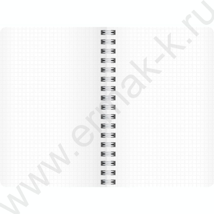 Тетрадь  80л А5 клетка/спираль/пл.обл./ LIFE STYLE. 1 | Фото 3