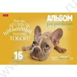 Альбом д/рисования 16л "ДоброЛапки" ассорти | Фото 2