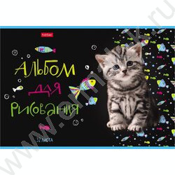 Альбом д/рисования 32л "МУРчат Коты" 5видов | Фото 1
