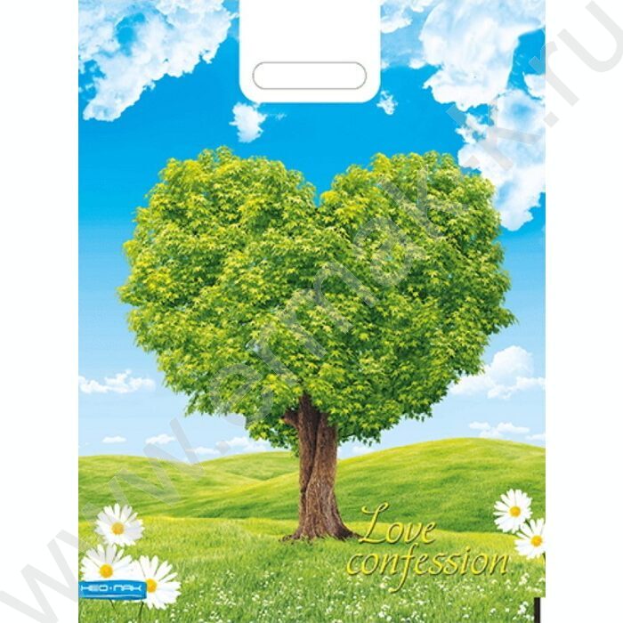 Пакет полиэтиленовый вырубной 38*47см Признание | Фото 1