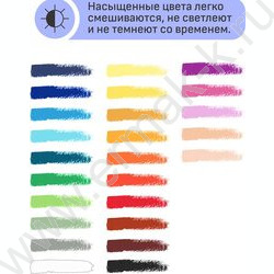 Пастель масляная 25цв "Студия" /картон.кор. | Фото 7