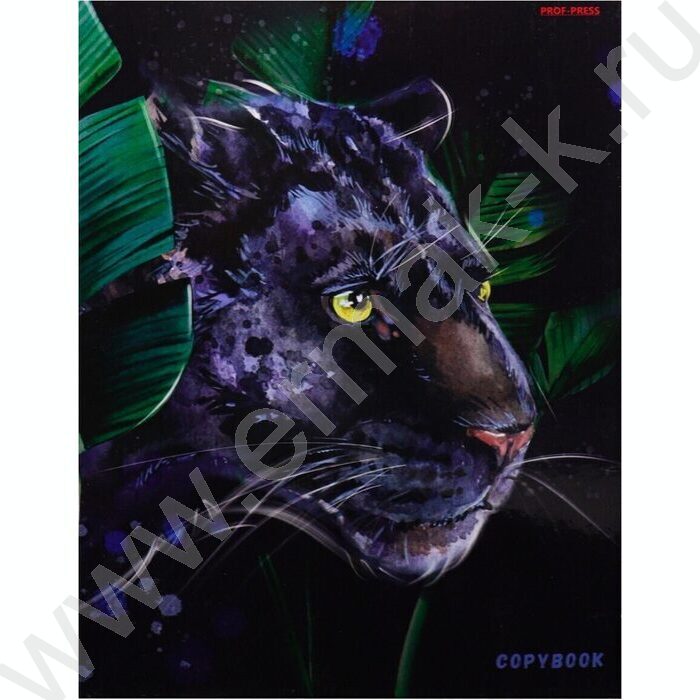 Тетрадь 160л клетка/кольца "Грациозная пантера-1" | Фото 2