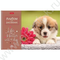 Альбом д/рисования-спираль 40л "Doggie-Щенки" /перфорация/ 4вида | Фото 1