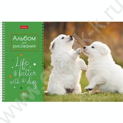 Альбом д/рисования-спираль 40л "Doggie-Щенки" /перфорация/ 4вида | Фото 4