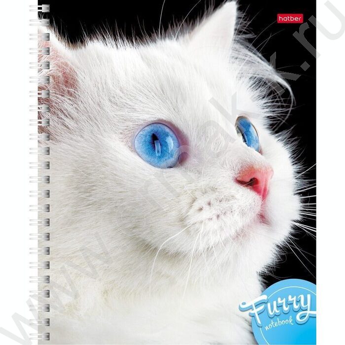Тетрадь  80л клетка/спираль "Пушистые мордочки" | Фото 1
