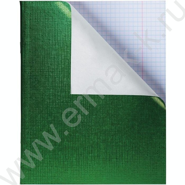 Тетрадь  96л клетка "Бум/винил" METALLIC зелёная | Фото 2