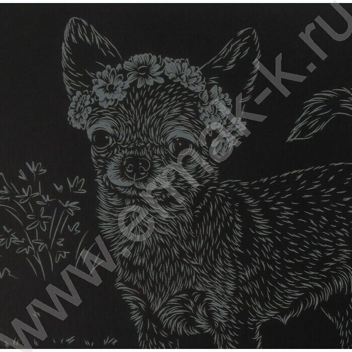 Набор д/творчества Гравюра большая Собаки.Чихуахуа голография | Фото 5