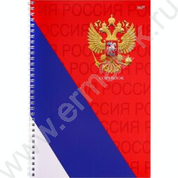 Тетрадь  60л А4 клетка/спираль "Символы России-1" | Фото 1