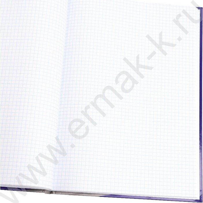 Книга Учёта  80л клетка тв.обл.офсет "Символика России-4" глянц.лам. | Фото 3