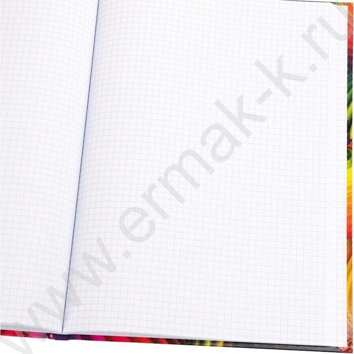 Книга Учёта  96л клетка тв.обл.офсет "Радужные спирали-1" глянц.лам. | Фото 3