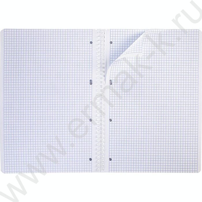 Тетрадь  80л А4 клетка/спираль "Underline" ассорти | Фото 5