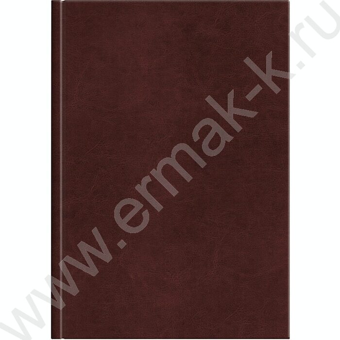 Ежедневник н/дат А5 176л Sigma коричневый /карта мира | Фото 2