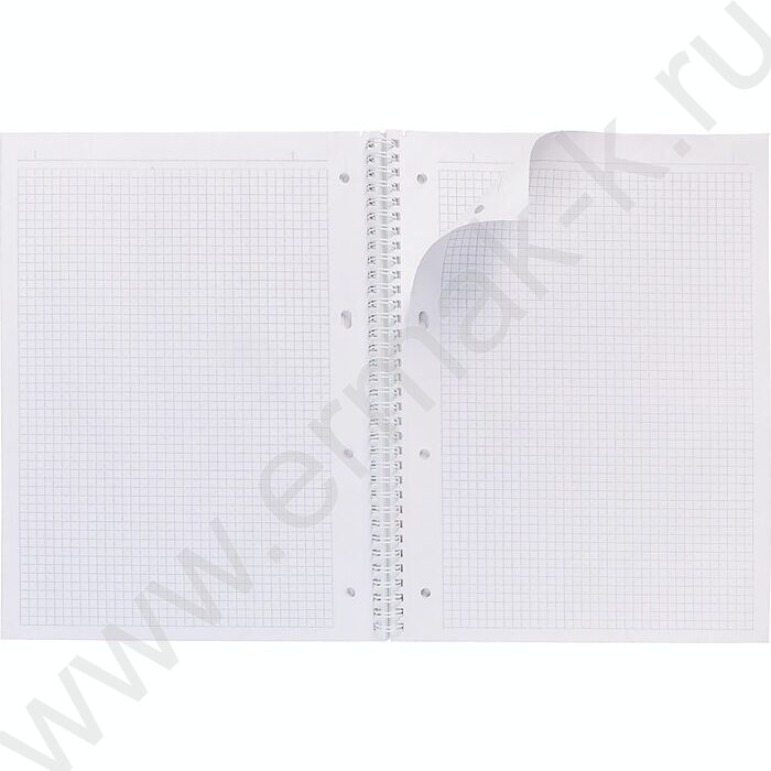 Тетрадь  80л А4 клетка/спираль/многоуров.перфорация "NEWtone PASTEL Олива" | Фото 2