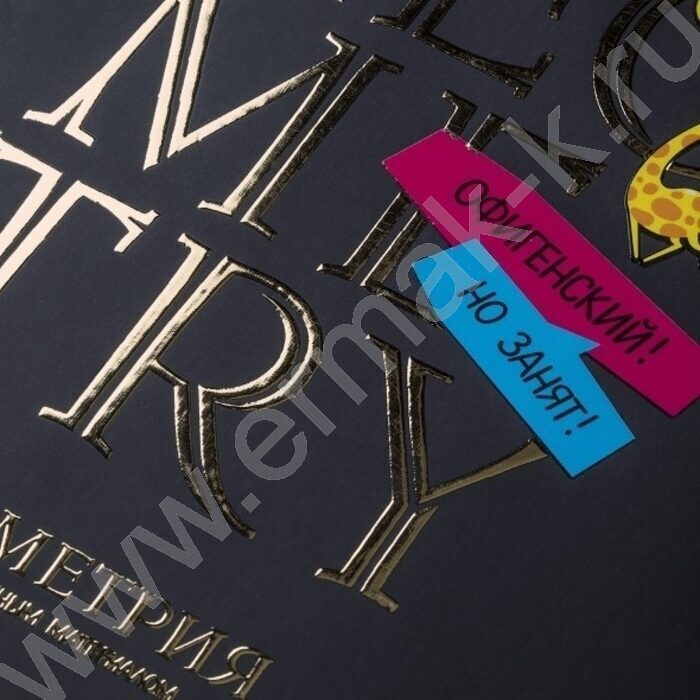 Тетрадь предметная 46л Набор 12шт "Дерзкая" /мат.ламин. 3D фольга 3D лак/ | Фото 3