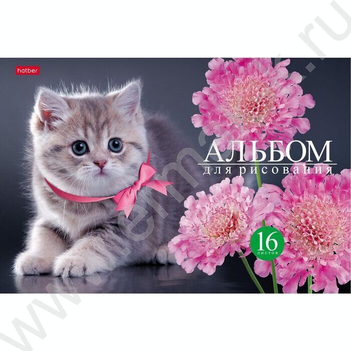 Альбом д/рисования 16л "На мягких лапках" ассорти | Фото 1