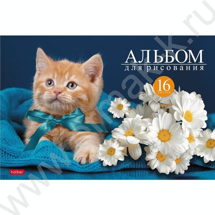 Альбом д/рисования 16л "На мягких лапках" ассорти | Фото 2