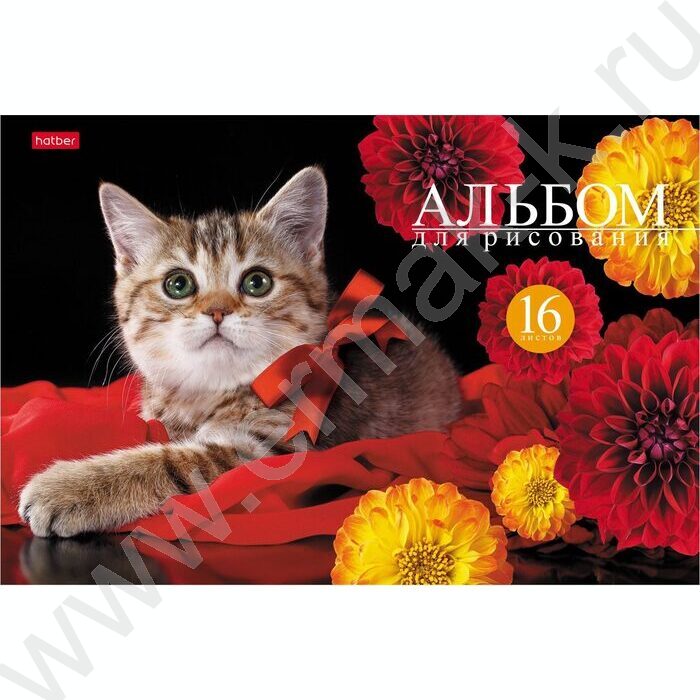 Альбом д/рисования 16л "На мягких лапках" ассорти | Фото 3