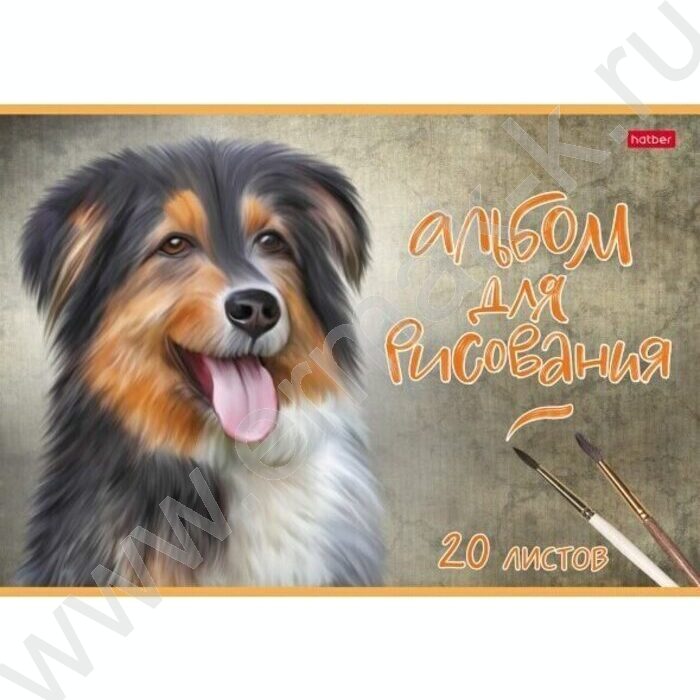 Альбом д/рисования 20л "Наши верные друзья" /тиснение/ ассорти | Фото 5