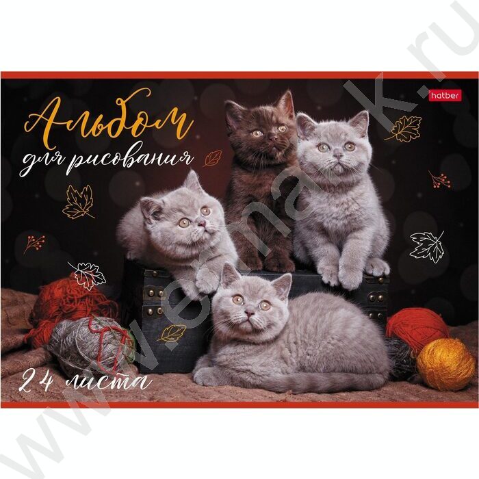 Альбом д/рисования 24л "Кототерапия" ассорти | Фото 4