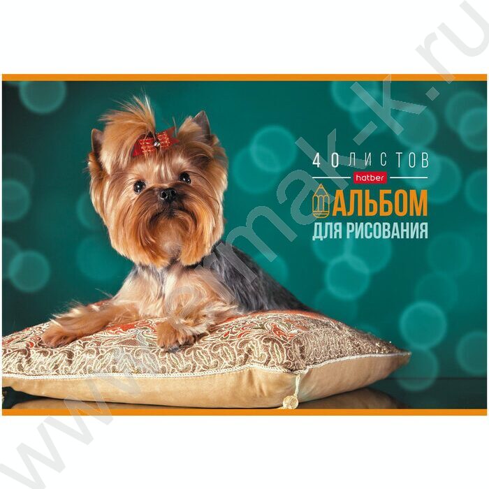Альбом д/рисования 40л "Любимые питомцы"ассорти | Фото 4