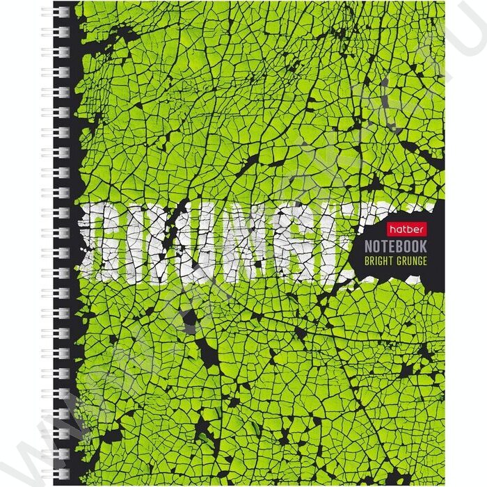 Тетрадь  96л клетка/спираль "Яркий гранж" 4вида | Фото 1