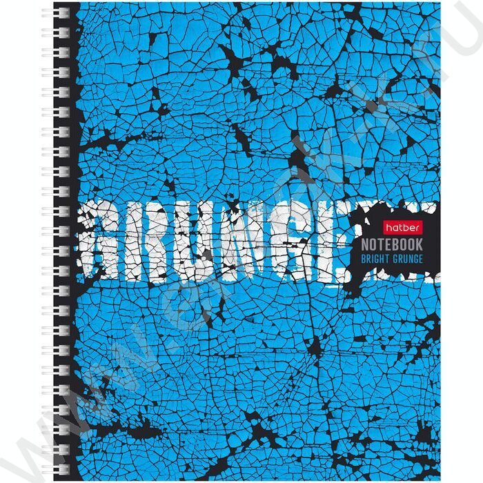 Тетрадь  96л клетка/спираль "Яркий гранж" 4вида | Фото 3