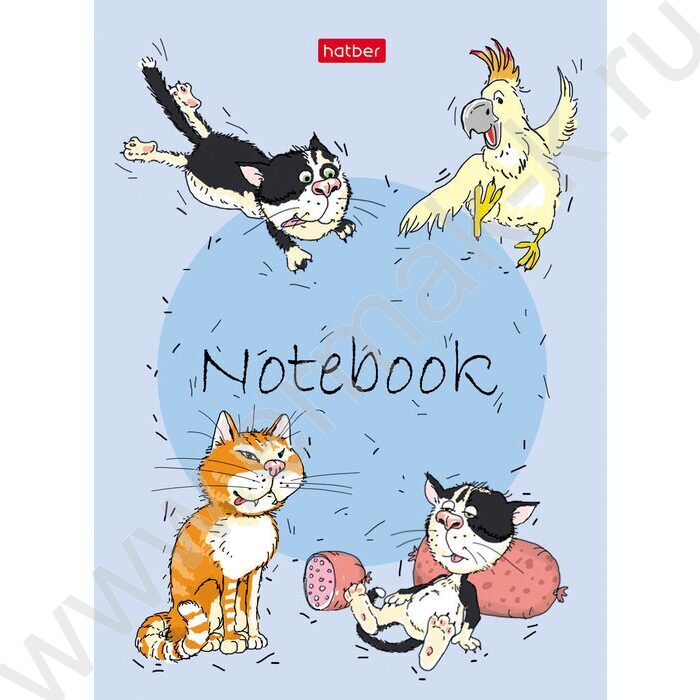 Блокнот  24л А6 "Забавные животные" ламинация | Фото 2