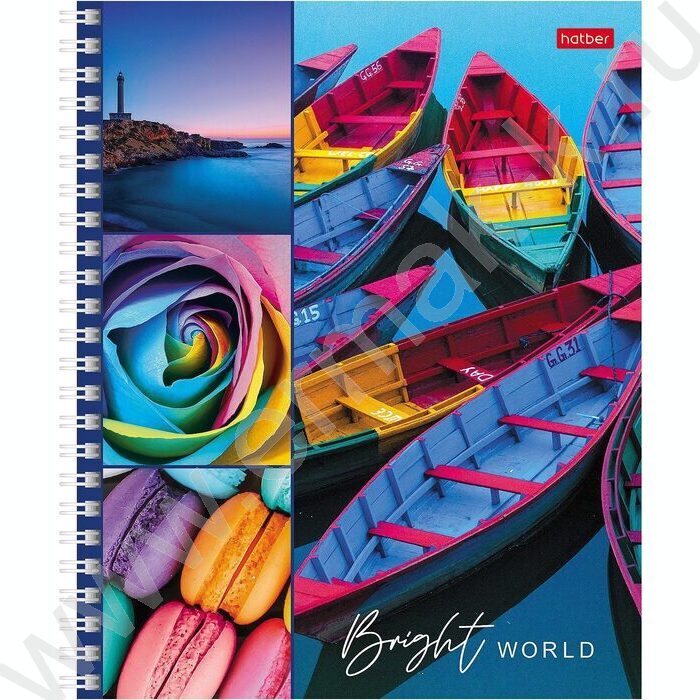 Тетрадь  80л клетка/спираль "Яркая жизнь" ассорти | Фото 1