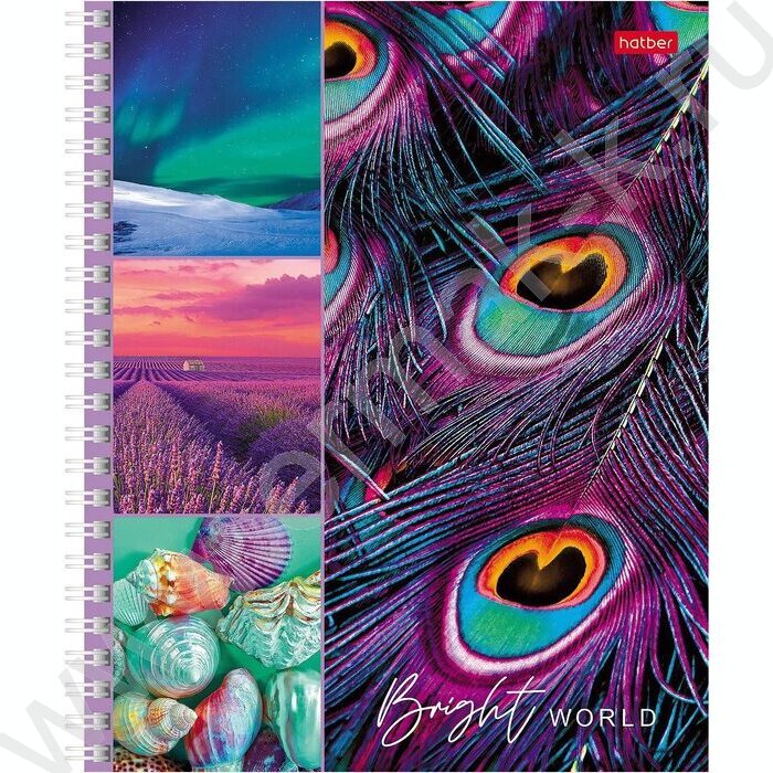 Тетрадь  80л клетка/спираль "Яркая жизнь" ассорти | Фото 3