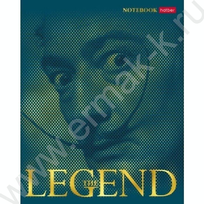 Тетрадь  96л линейка "Я-Легенда" ассорти | Фото 3