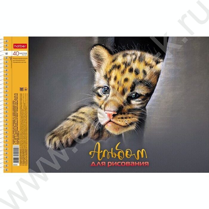 Альбом д/рисования-спираль 40л "Глазки, ушки, носик" /перфорация/тиснение/ 4вида | Фото 2