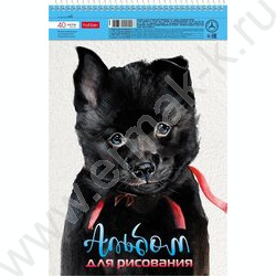 Альбом д/рисования-спираль 40л "Глазки, ушки, носик" /перфорация/тиснение/ 4вида | Фото 4
