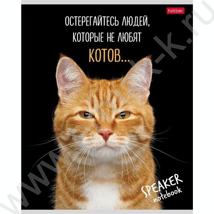 Тетрадь  40л клетка "Кот говорит!" ассорти | Фото 1