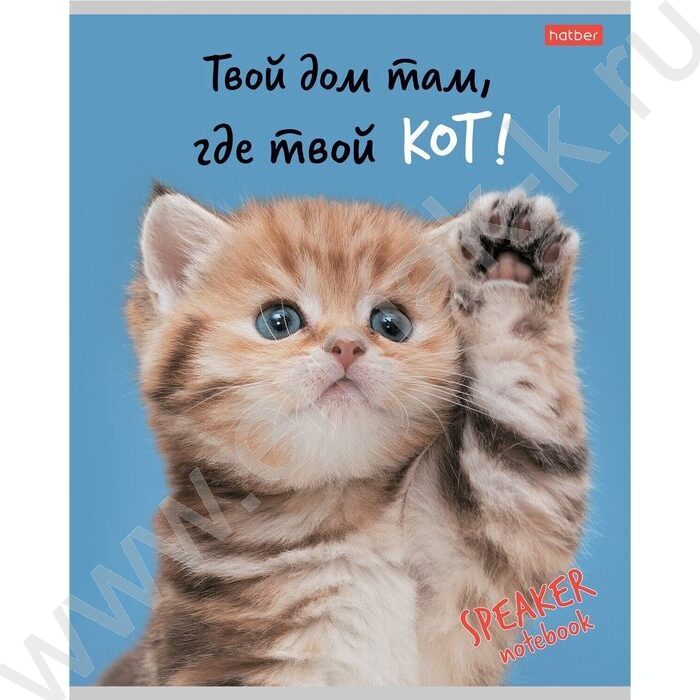 Тетрадь  40л клетка "Кот говорит!" ассорти | Фото 2