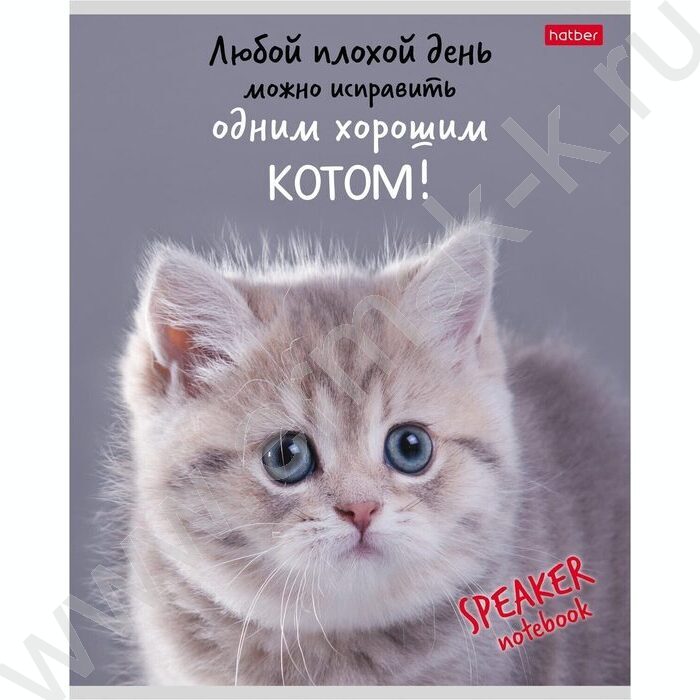 Тетрадь  40л клетка "Кот говорит!" ассорти | Фото 4