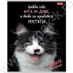Тетрадь  40л клетка "Кот говорит!" ассорти | Фото 5