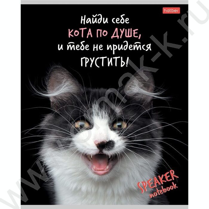 Тетрадь  40л клетка "Кот говорит!" ассорти | Фото 5