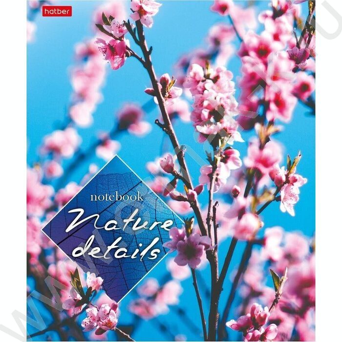 Тетрадь  40л клетка "Детали природы" ассорти | Фото 1