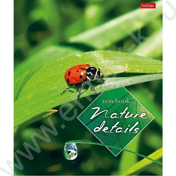 Тетрадь  40л клетка "Детали природы" ассорти | Фото 4