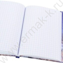 Зап. книжка  80л А6 тв.обл. "Мегаполис будущего-1" /глянец/лен/ | Фото 3