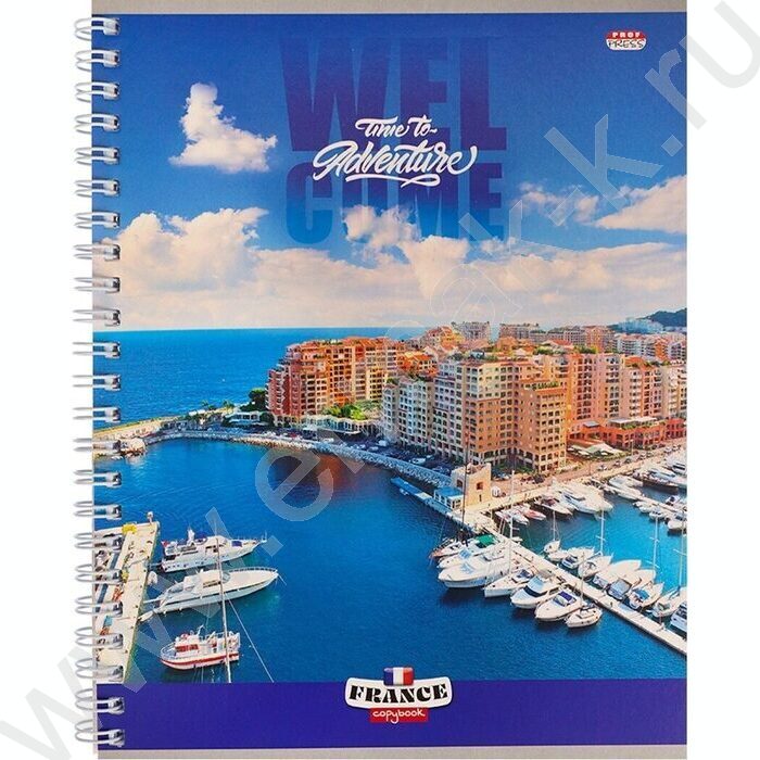 Тетрадь  80л клетка/спираль/двойная "Город на берегу-3" ассорти | Фото 1