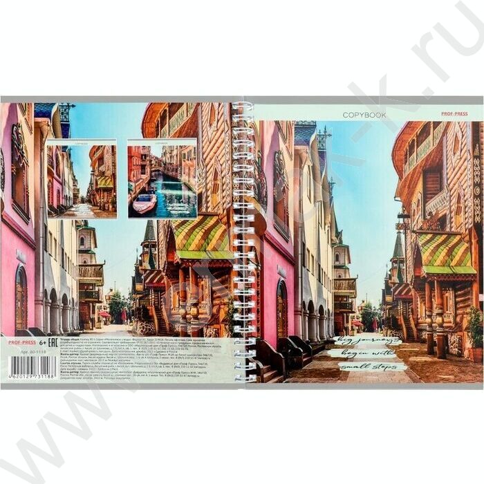 Тетрадь  80л клетка/спираль/двойная "Мегаполисы у воды" ассорти | Фото 4